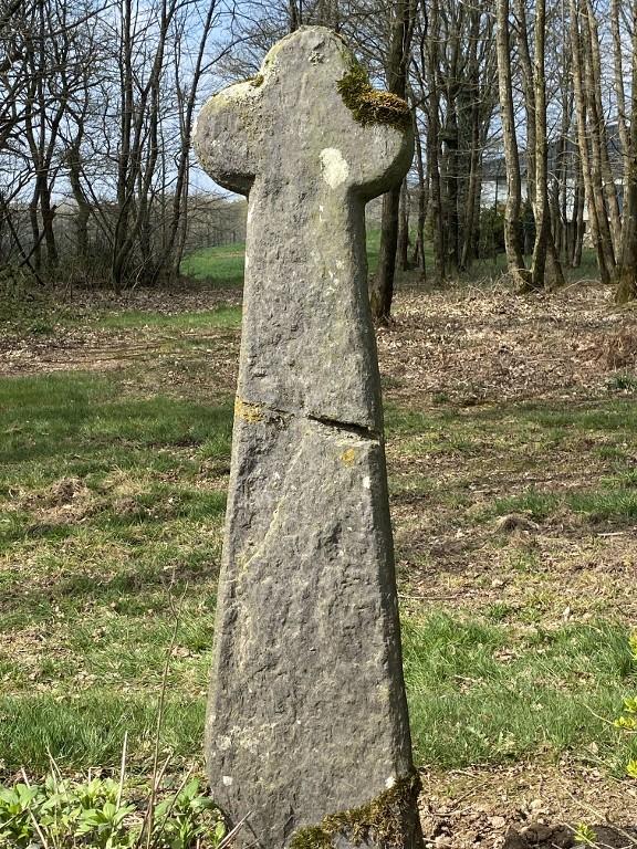 Croix de chemin du Gouta (Carentoir)