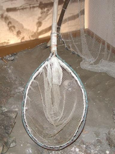 Outil de pêche à pied : havenet cerclé