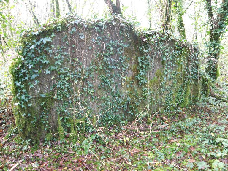 Ardoisière de Minez-ty-Oulin (Gourin)