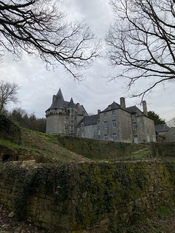 Château fort, château de Brignac (Saint-Guyomard)