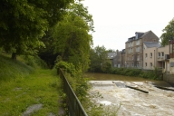 Rivière, la Seiche (Bruz)