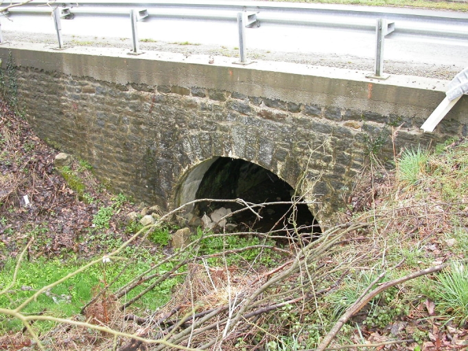 Pont, rue Nationale (Saint-Domineuc)