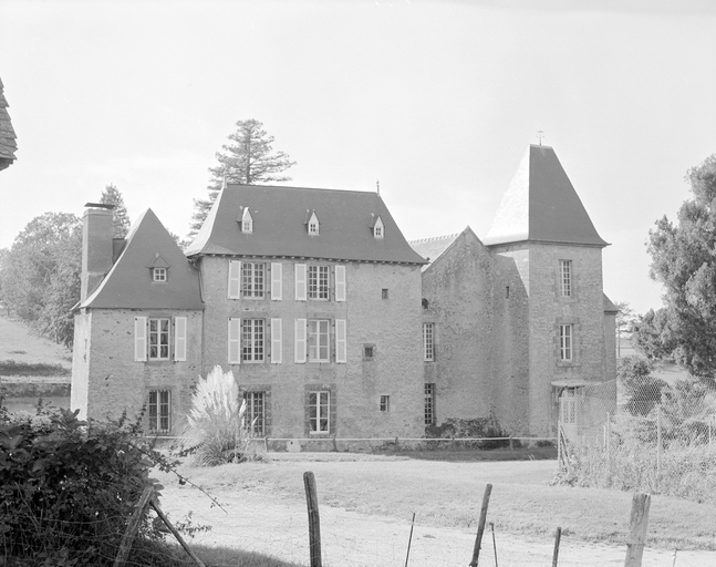 Château, les Masures (Châtillon-en-Vendelais)