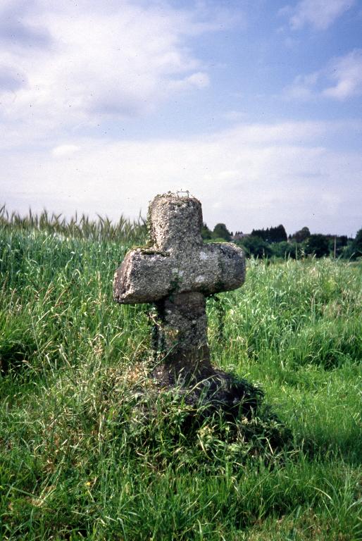 vignette