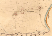 Ecart, la Bruyère (Saint-Médard-sur-Ille)