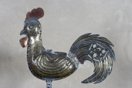 Coq