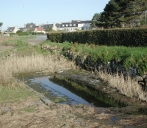 Lavoir et fontaine du marais, Ile-Grande (Pleumeur-Bodou)