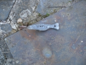 Outil de pêche