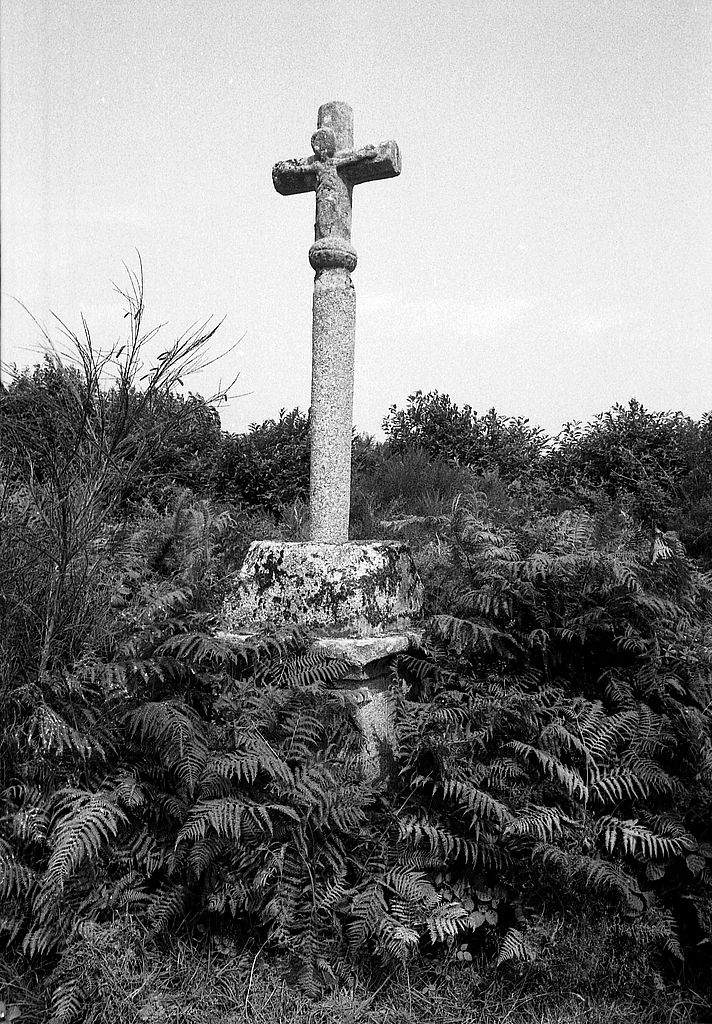 Croix monumentale, le Moustoir (Neulliac)