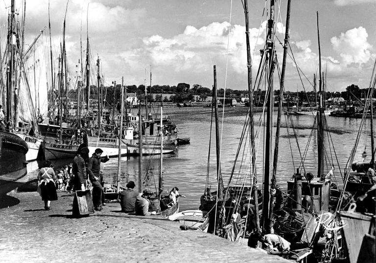Les quais du port de Concarneau, avant-port et arrière-port (Concarneau)
