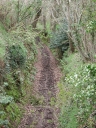 Chemin, Roz-Logod (Ploumilliau)