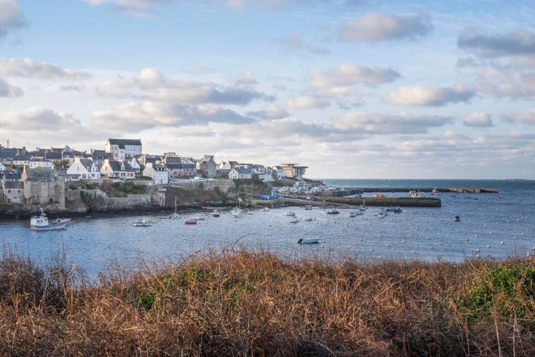Le port du Conquet (Le Conquet)