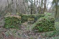 Kanndi de Kergoat (Le Tréhou)