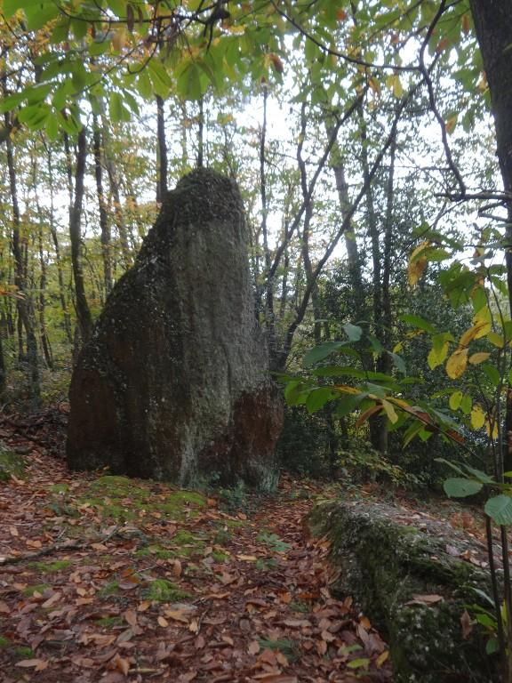 Menhir, dit de la Roche piquée (La Gacilly)
