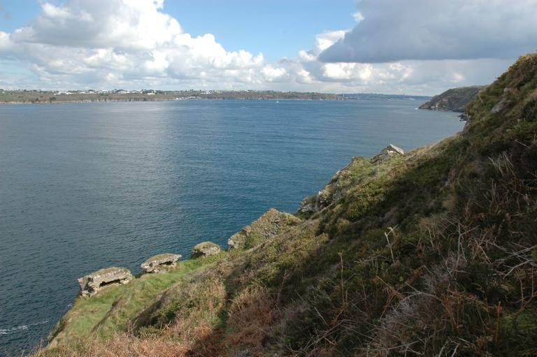 Vue générale (état en 2005). On distingue les vestiges du parapet percé d'embrasures et un bâtiment ruiniforme (magasin à poudre ?). En arrière-plan, le goulet et la ville de Brest