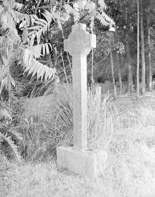 Croix de chemin, la Forgerie (Balazé)