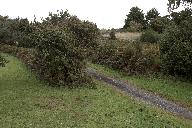 Tumulus de Goarem-an-Dorguenn,  Kerdalaun (Kersaint-Plabennec)