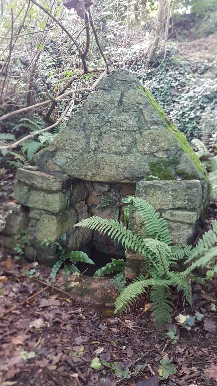 Fontaine, Saint-Antoine (Pleudaniel)