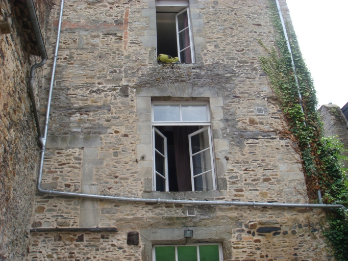 Maison, 28 rue Poterie (Vitré)