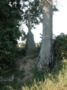 Croix de chemin, les Beaux Chênes (Bédée)