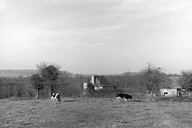 Manoir, la Pungerais (Pléchâtel)