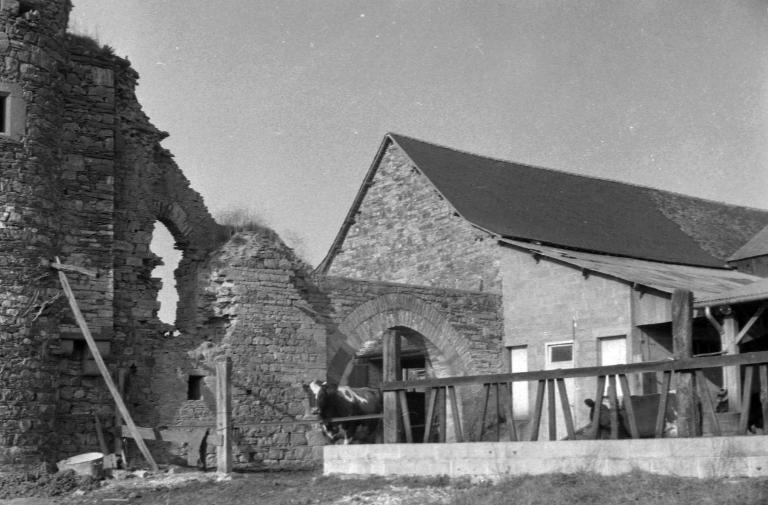 Manoir, la Marchée (Saulnières)
