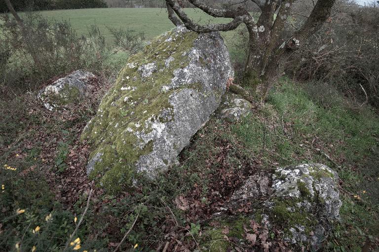 Sépulture mégalithique et tertre, les Landes (Pléchâtel)