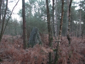Groupe de menhir, le Bois de Boutavent (Iffendic)