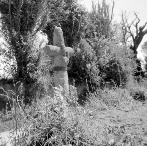 Croix de chemin, route de Lannion, Poul-Fanc (Penvénan)
