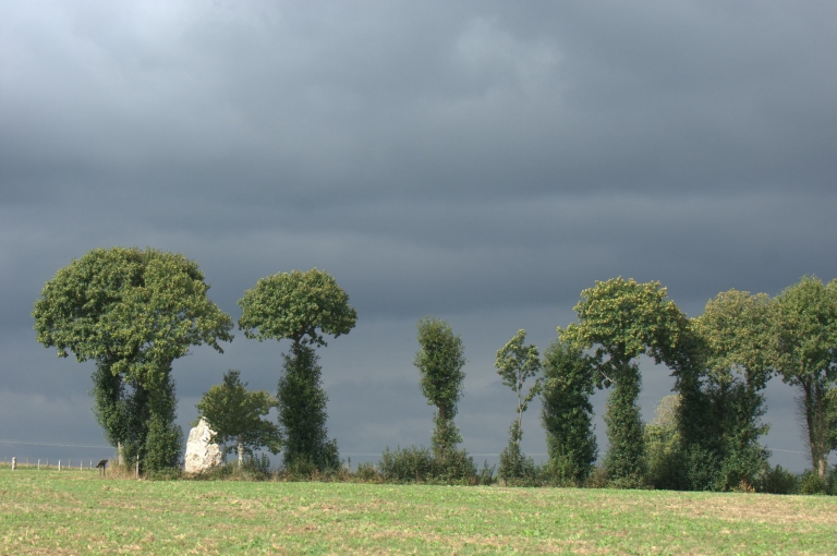 Menhir, la Roche Longue (Guitté)