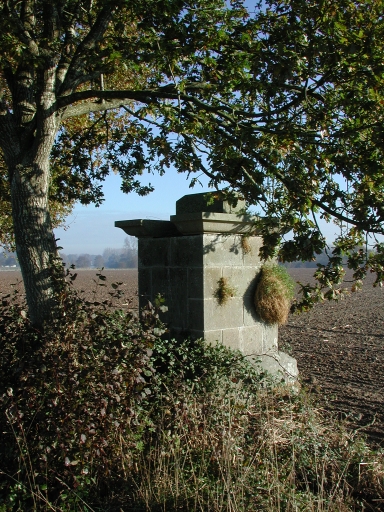 Croix de chemin, près de la Boutelais (Guipry fusionnée en Guipry-Messac en 2016)