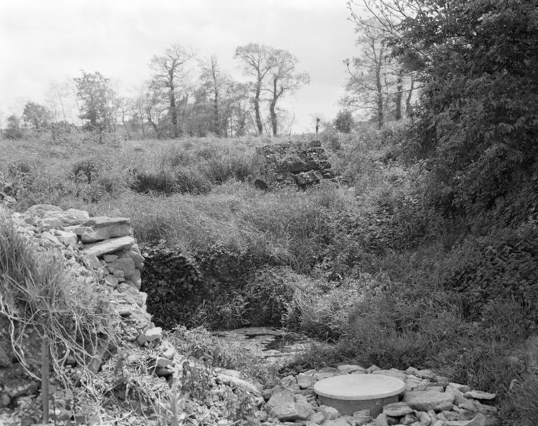 Fontaine de dévotion dite fontaine de Bonervaud (Theix fusionnée en Theix-Noyalo en 2016)