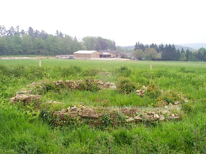 Temple romano-celtique heptagonal, le Mur (Comblessac)