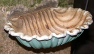 Paire de bénitiers d'applique