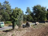 Menhir dit le Menhir Fourchu, près de chef de ville (Saint-Guyomard)