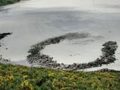 Pêcher, se nourrir : réservoir à poissons, pêcheries, cabane de chasse...(Projet de Parc naturel régional Rance-Côte d'Emeraude)
