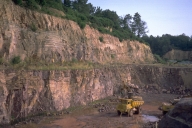 Carrière de schiste de Trékoët (Muel)