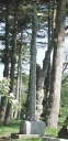 Croix monumentale, Quinquis-Vraz (Ploumilliau)