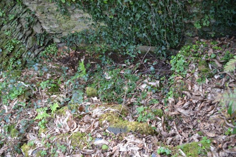 Kanndi de Kergoat (Le Tréhou)