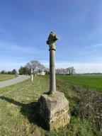 Croix de chemin, la Ville Cotto (La Croix-Helléan)