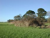 Bunker - abri pour un groupe de type VF 1a (B 68), Kervaoter (Brest)