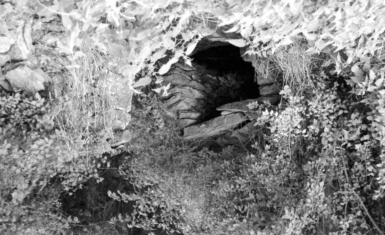 Fontaine, le Coty (Locmaria)