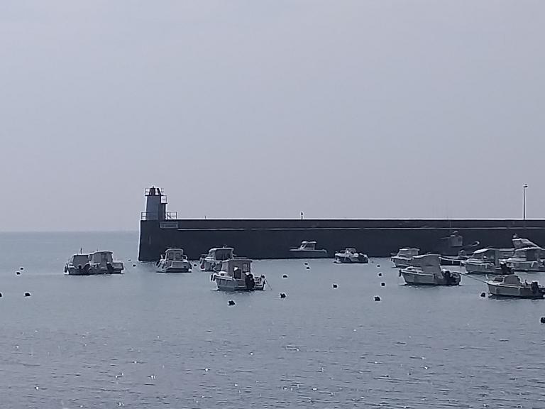 La signalisation, la surveillance des côtes et du domaine maritime (Parc naturel régional du Golfe du Morbihan)