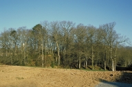 Motte castrale (Mernel)