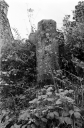 Croix de Chemin, le Ruellou (Saint-Nicolas-du-Pélem)