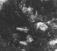 Fontaine, Brenesquin (Plougoulm)