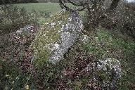 Sépulture mégalithique et tertre, les Landes (Pléchâtel)