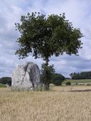 Menhir, dit de la Roche Piquée, au sud du Digoit (Ruffiac)