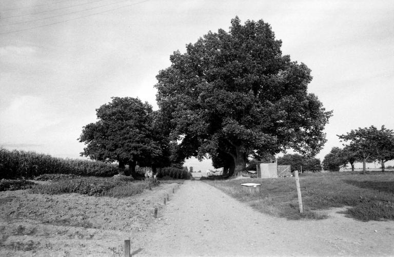 Ferme, lieu-dit la Gallière (Mordelles)
