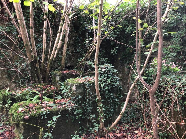 Moulin à eau, Le petit moulin (Mahalon)